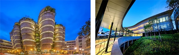 在新加坡南洋理工学习双语编程，给孩子一个不一样的寒假！ 