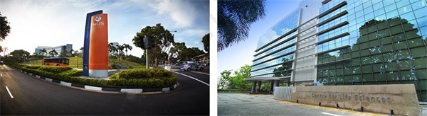 在新加坡南洋理工学习双语编程，给孩子一个不一样的寒假！ 