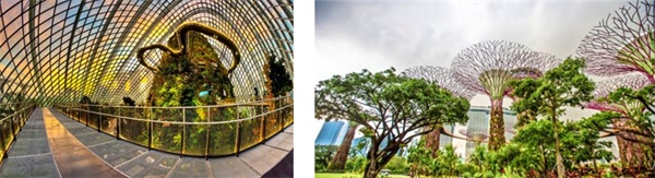 在新加坡南洋理工学习双语编程，给孩子一个不一样的寒假！ 