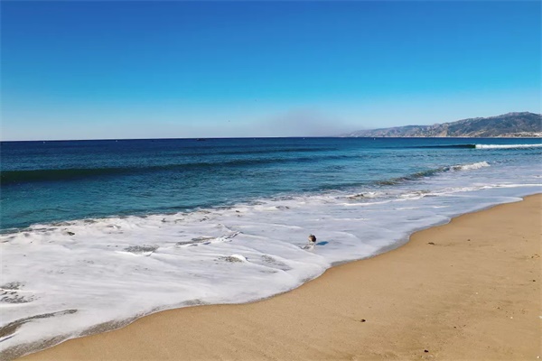 在世界顶级名校斯坦福大学学编程，让孩子走在国际教育的前沿