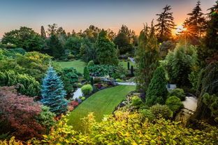 2019暑假加拿大多伦多大学编程研学营，在世界名校学习专属前沿编程课程！ 