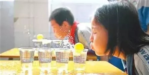 召集令：春风十里不如来童程童美“绿色行动队”的你！