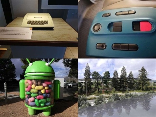 成长记 | 10岁的我在美国斯坦福大学学习！