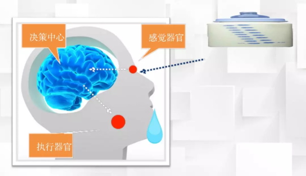 一节小学生也能听懂的专业课：机器人和物联网是怎么协同工作的？