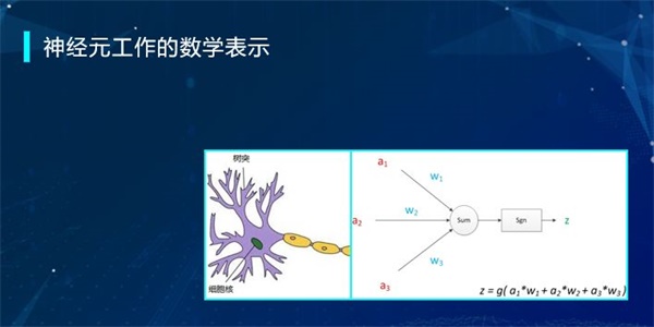 “半斤八两”为什么一样多？用编程告诉你这里的玄机！ 