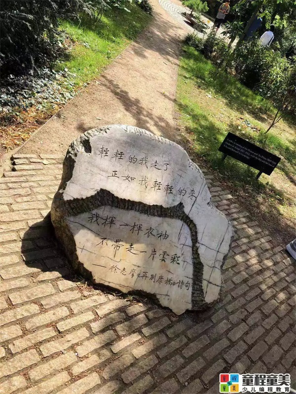 2019童程童美国际编程研学营圆满收官，500名学员点亮名校梦！